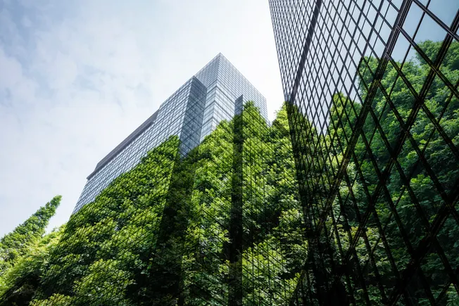 绿色建筑：经济风暴中常被忽视的避风港
